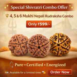 4,5 & 6 Mukhi Nepali Rudraksha Combo
